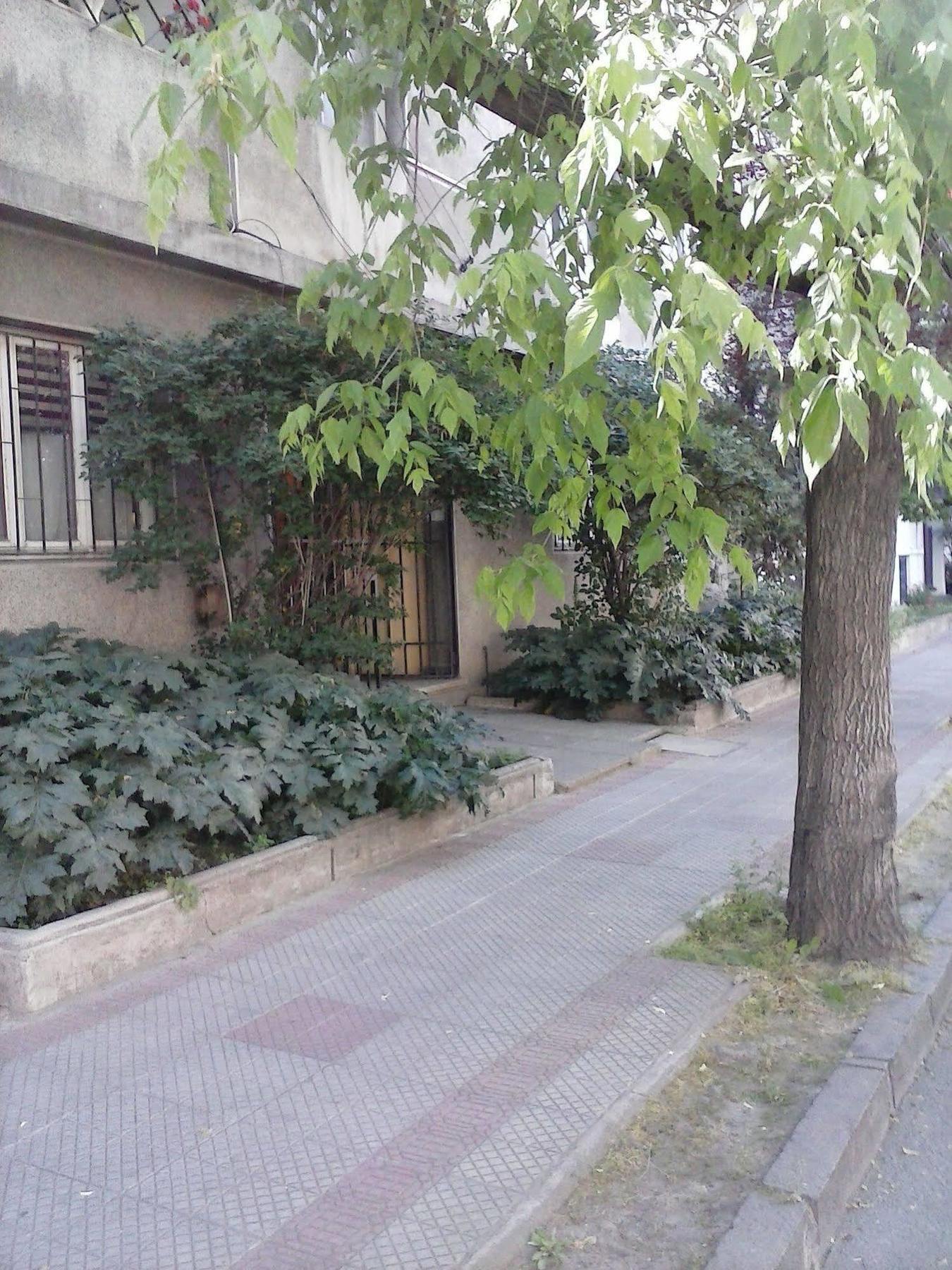 Marilu 'S Bed And Breakfast Hostel Σαντιάγκο Εξωτερικό φωτογραφία